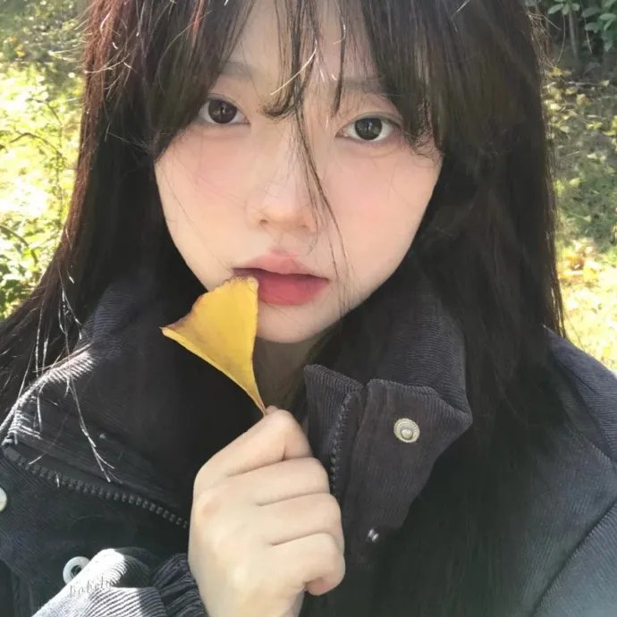 缇萦