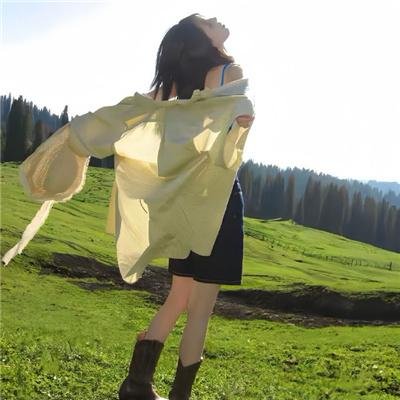 大贼龙虎斗